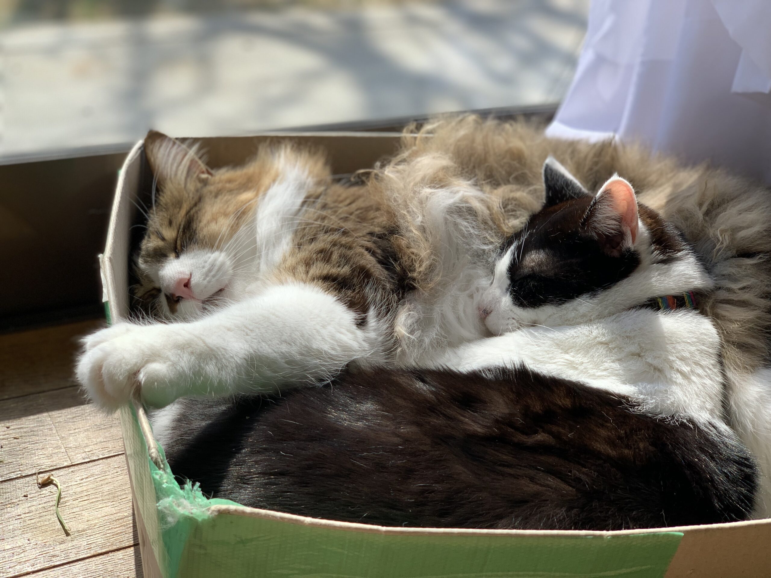 ホームページを更新しました。